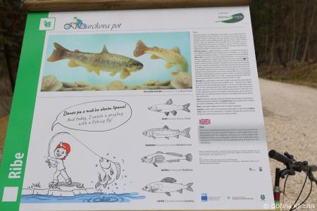 Z zasaditvijo dreves smo uradno odprli kolesarsko povezavo Kamnik–Godič (79)